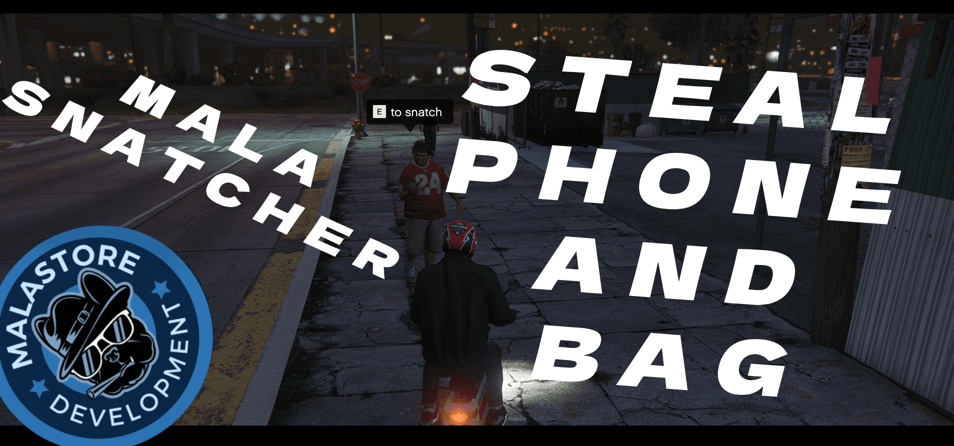 Snatcher/Phone & Bag Thief | Standalone