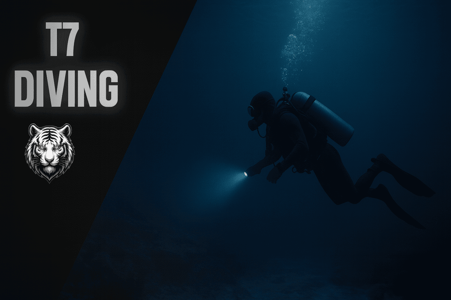 T7 Diving